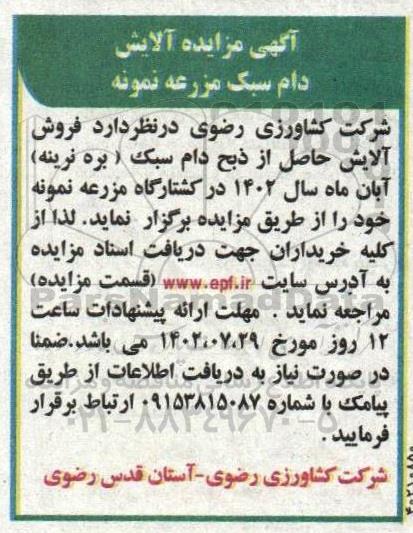 آگهی مزایده آلایش دام سبک مزرعه نمونه