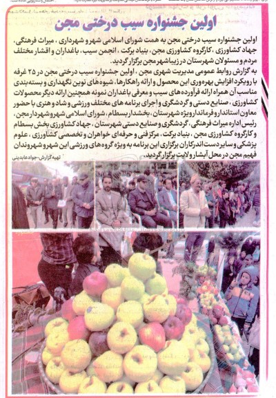 اولین جشنواره سیب درختی مجن