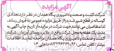 مزایده فروش تعدادی گوساله نر قطع شیر شده 