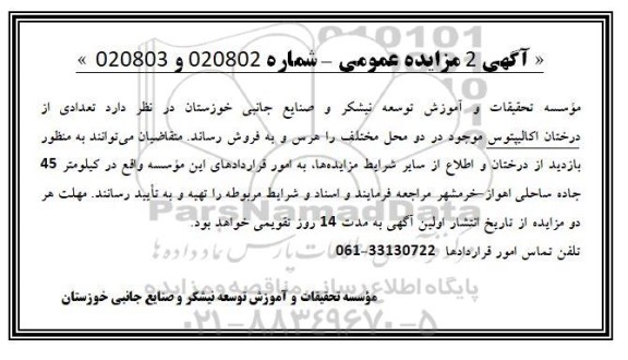مزایده هرس و فروش تعدادی از درختان اکالیپتوس