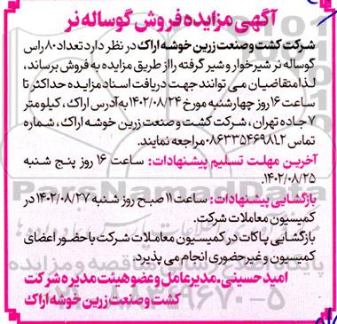 مزایده فروش گوساله نر