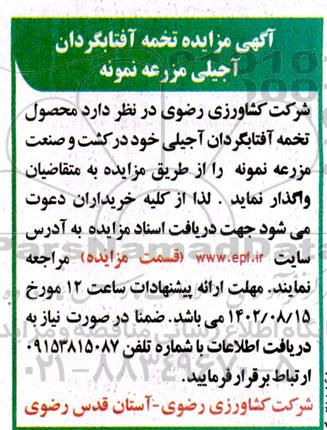 مزایده تخمه آفتابگردان آجیلی مزرعه نمونه 