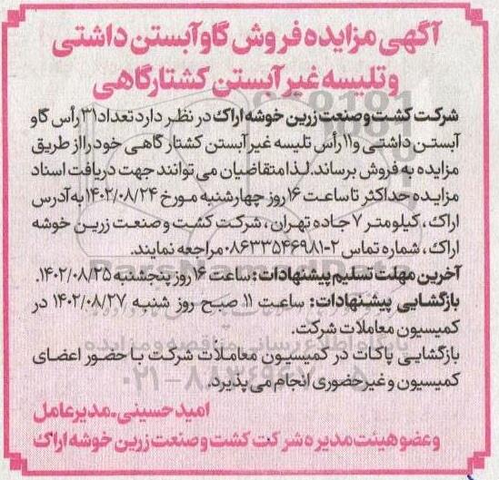 مزایده فروش گاو آبستن داشتی و تلیسه غیرآبستن کشتارگاهی