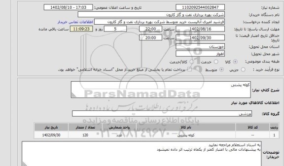 استعلام کوله پشتی