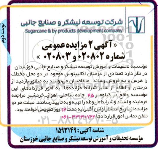 مزایده هرس و فروش تعدادی از درختان اکالیپتوس - نوبت دوم 