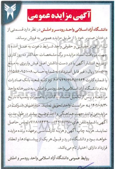 مزایده فروش قسمتی از درختان صنوبر