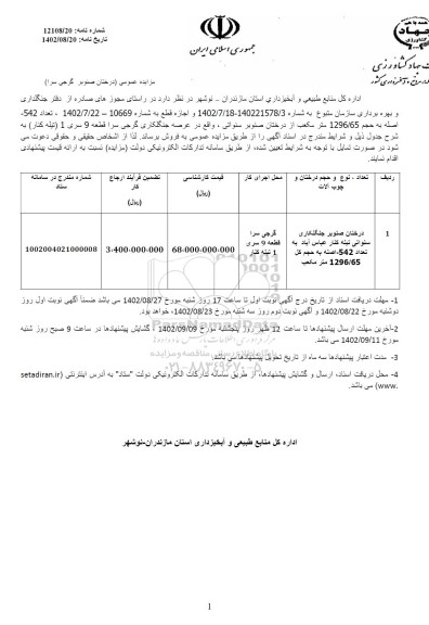 مزایده فروش درختان صنوبر