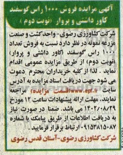 آگهی مزایده 1000 راس گوسفند کاور داشتی و پروار ـ نوبت دوم