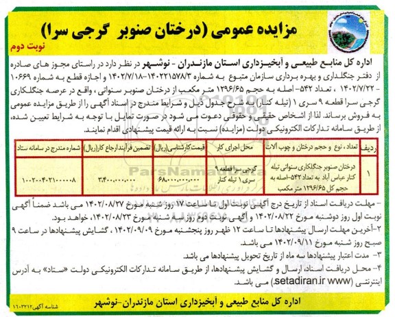 مزایده فروش درختان صنوبر - نوبت دوم