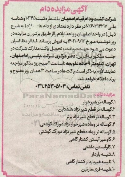 مزایده فروش دام شامل گوساله نر شیرخوار، گوساله نر قطع شیر نژاد هلشتاین و...