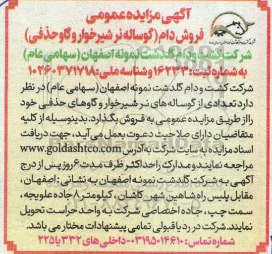 مزایده فروش دام