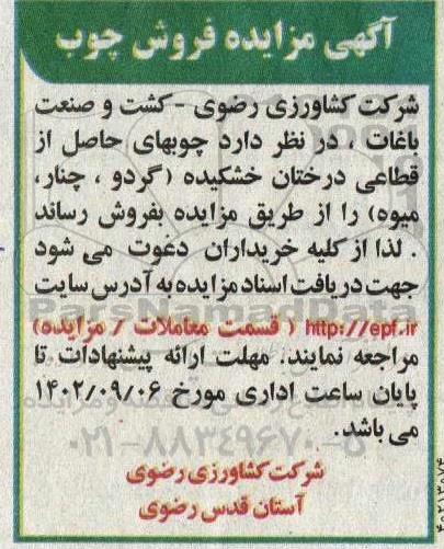 مزایده فروش چوب