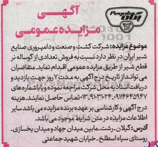 مزایده  فروش تعدادی از گوساله نر قطع شیر