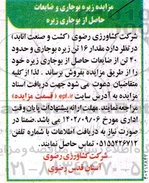 مزایده زیره بوجاری و ضایعات حاصل از بوجاری زیره