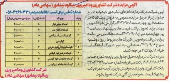 مزایده فروش دام های تولیدی شامل گوساله نر شیر خوار، گوساله نر قطع شیر و....