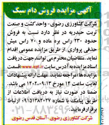 مزایده فروش دام سبک