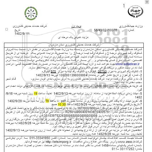 مزایده فروش شلتوک رقم شیرودی درجه یک