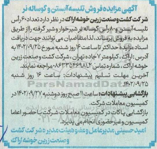 مزایده فروش تلیسه آبستن و گوساله نر