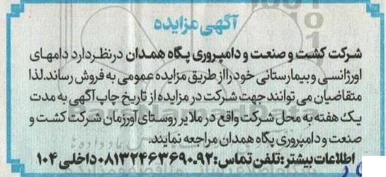 مزایده فروش دامهای اورژانسی و بیمارستانی