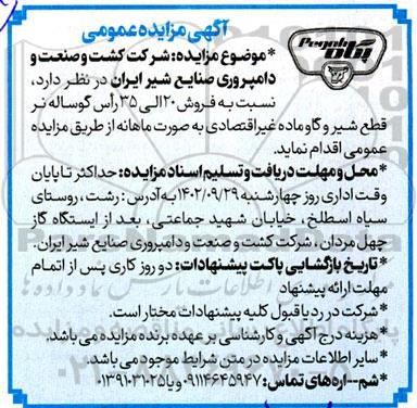 مزایده فروش 20 الی 35 راس گوساله نر قطع شیر و گاو ماده غیراقتصادی