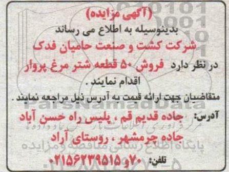 مزایده فروش 50 قطعه شترمرغ پروار