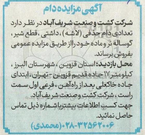 مزایده دام 