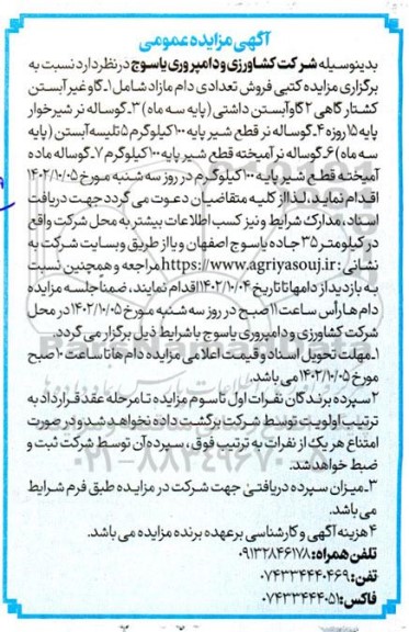 مزایده فروش تعدادی دام