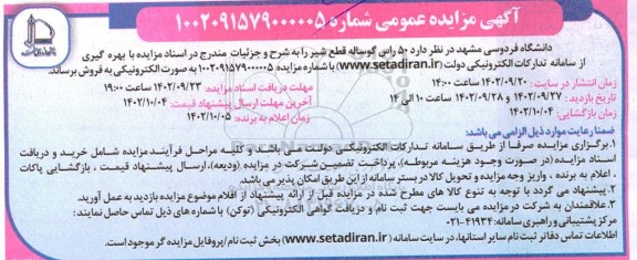 مزایده فروش 50 راس گوساله قطع شیر
