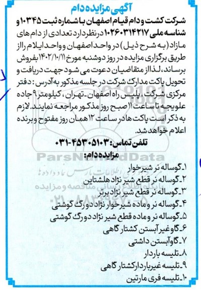 مزایده فروش دام شامل گوساله نر شیرخوار، گوساله نر قطع شیر نژاد هلشتاین و...