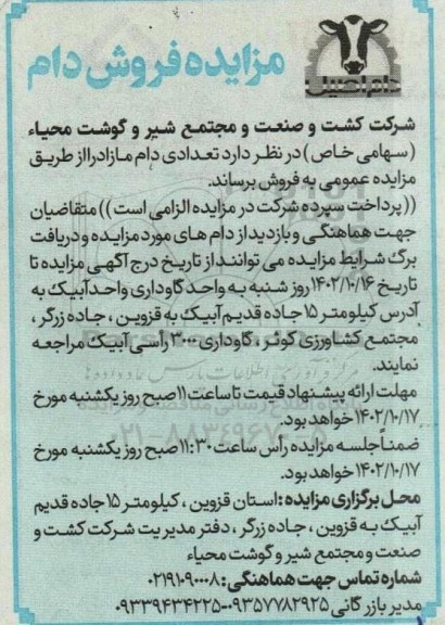 مزایده فروش دام