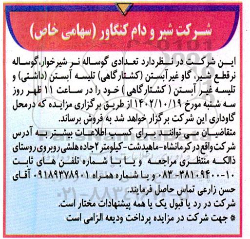 مزایده فروش تعدادی گوساله نر شیرخوار، گوساله نر قطع شیر.....