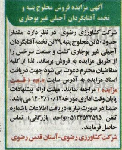 مزایده فروش محلوج پنبه و تخمه آفتابگردان آجیلی غیر بوجاری 