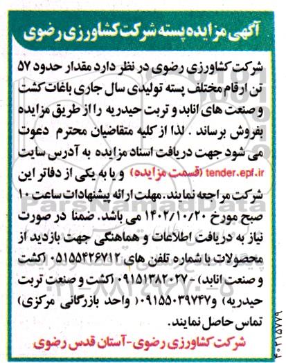 مزایده پسته 