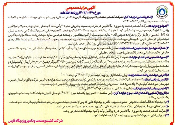 مزایده فروش حدود 70 راس ماده گاو حذفی اختیاری درجه یک و...-