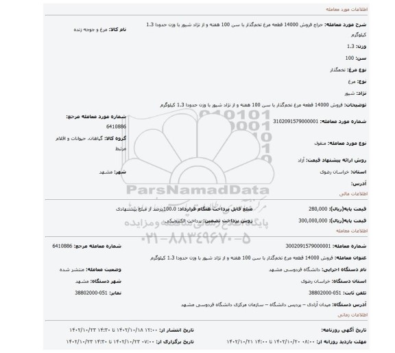فروش 14000 قطعه مرغ تخم گذار با سن 100 هفته و از نژاد شیور با وزن حدودا 1.3 کیلوگرم