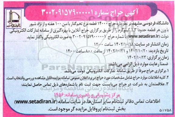 آگهی حراج 14000 قطعه مرغ تخم گذار با سن 100 هفته و از نژاد شیور...