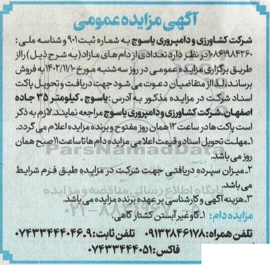 مزایده فروش تعدادی از دام های مازاد