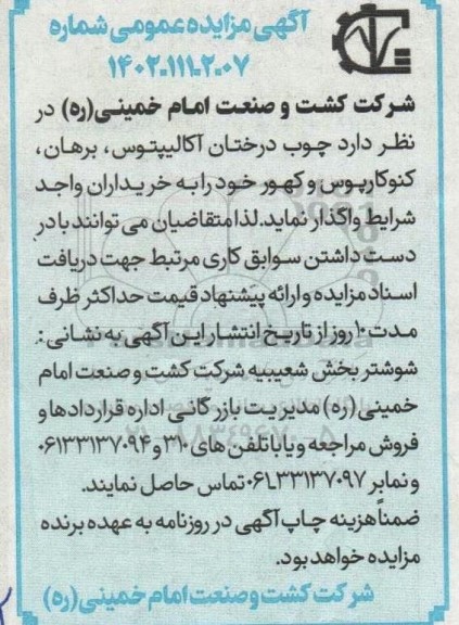 مزایده چوب درختان آکالیپتوس