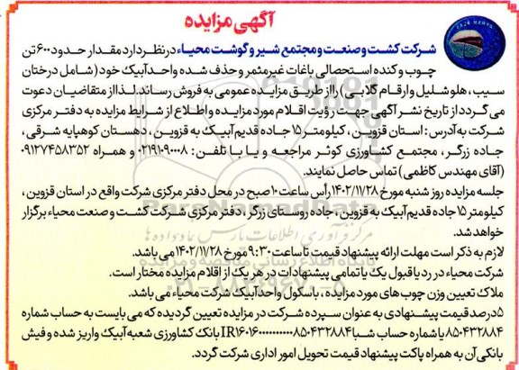 مزایده مقدار حدود 600 تن چوب و کنده استحصالی باغات
