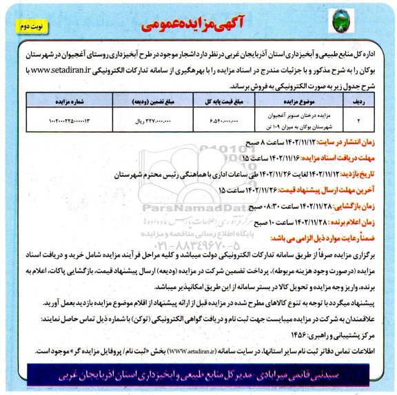 مزایده درختان صنوبر آغجیوان شهرستان بوکان به میزان 109 تن