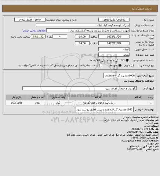 استعلام 1000عدد پیاز گل لاله هلندی