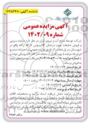 مزایده سرزنی و فروش ضایعات چوب درختان اکالیپتوس