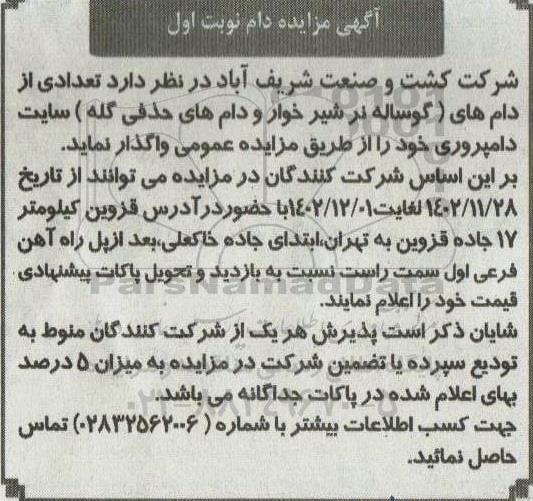 مزایده عمومی تعدادی از دام های ( گوساله نر شیر خوار و دامهای حذفی گله ) 
