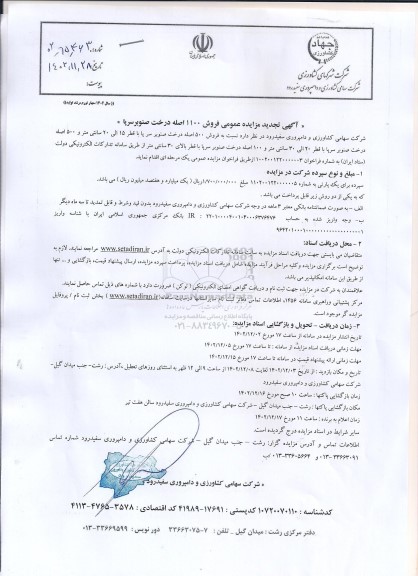 تجدید مزایده فروش 1100 اصله درخت صنوبر سرپا
