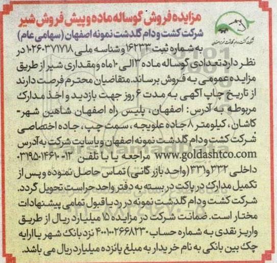 مزایده فروش گوساله ماده و پیش فروش شیر