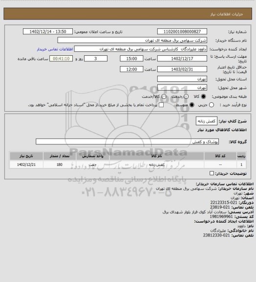 استعلام کفش زنانه