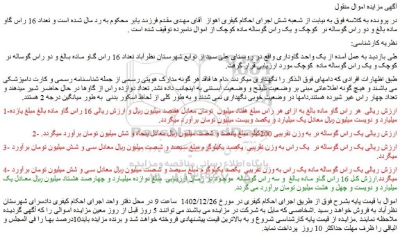 مزایده فروش گاو ماده بالغ 
