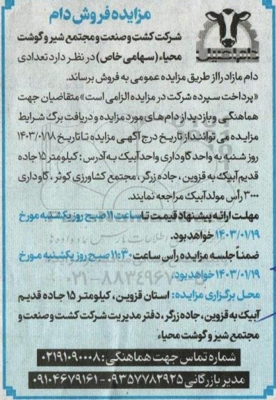 مزایده فروش دام