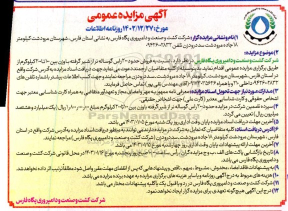 مزایده فروش حدود 200 راس گوساله نر از شیر گرفته 