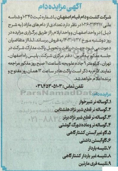 مزایده دام